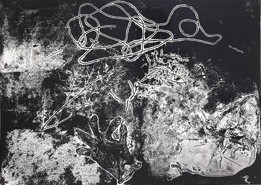 Phumelela Jongizulu - Untitled 1